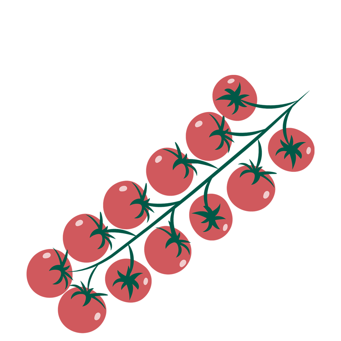 Mini Cherry Trostomaten